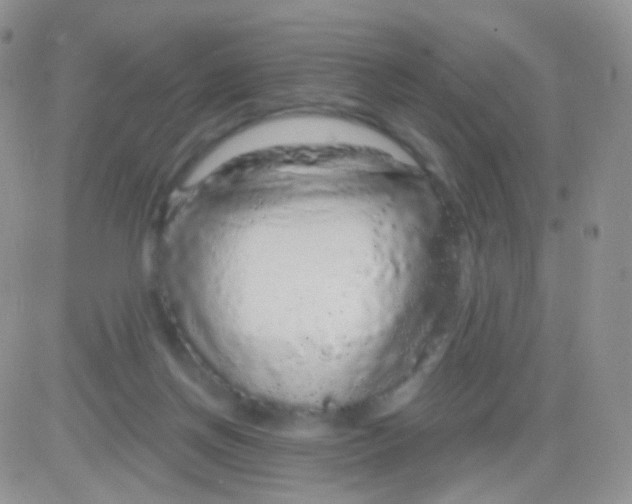 X0000083050166200702232005