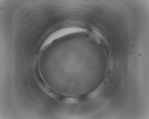 X0000083050167200702232005