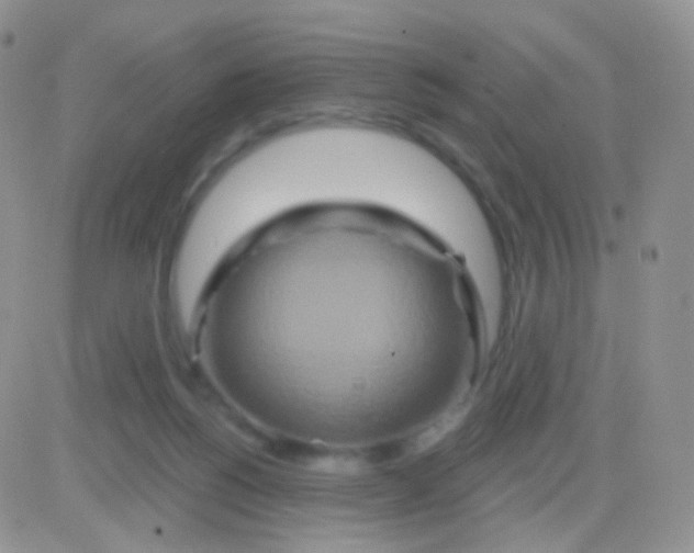 X0000083050168200702232005