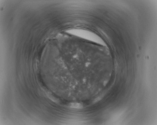 X0000083050169200702232005