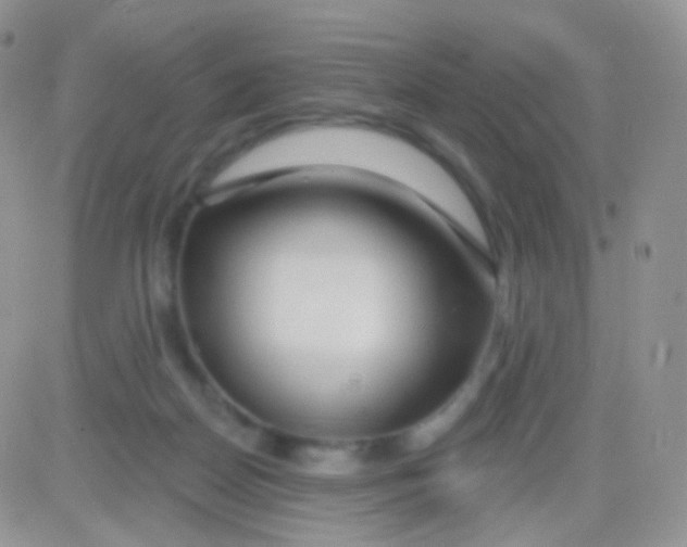 X0000083050170200702232005