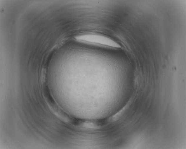 X0000083050171200702232005