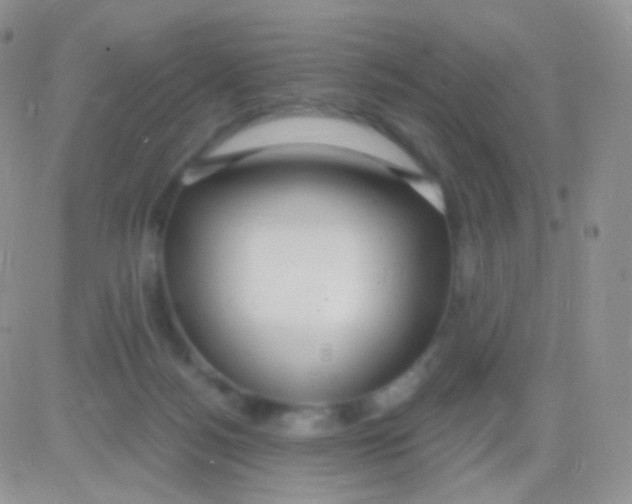 X0000083050172200702232005