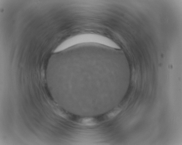 X0000083050173200702232005