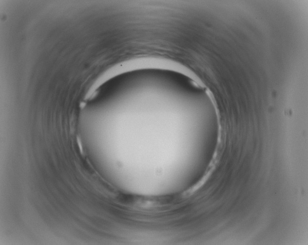 X0000083050174200702232005