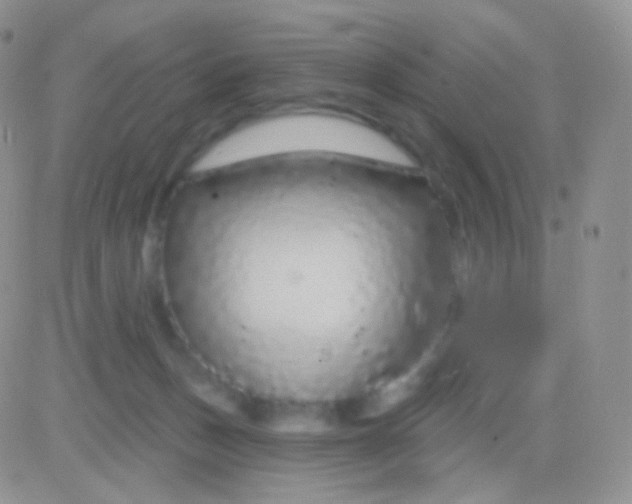 X0000083050175200702232005