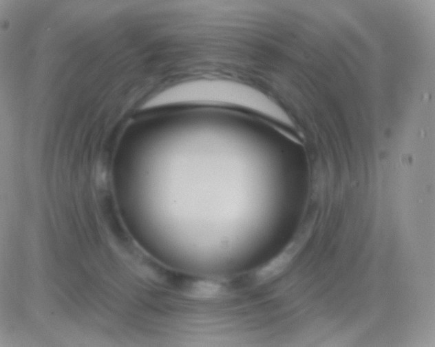 X0000083050176200702232005