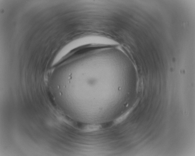 X0000083050179200702232005