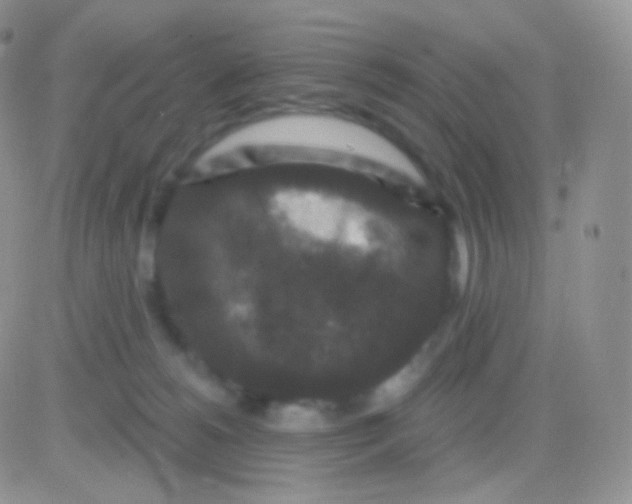 X0000083050180200702232005