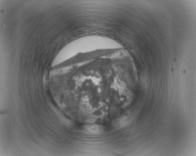 X0000083050181200702232005