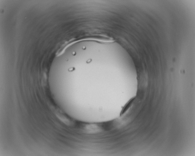 X0000083050183200702232005