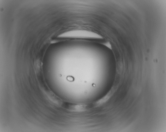 X0000083050184200702232005