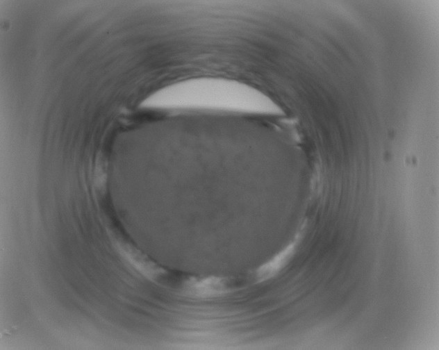 X0000083050186200702232005