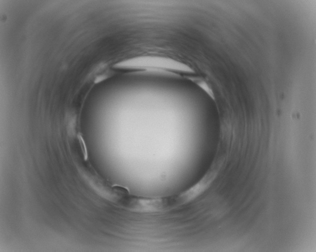 X0000083050188200702232005