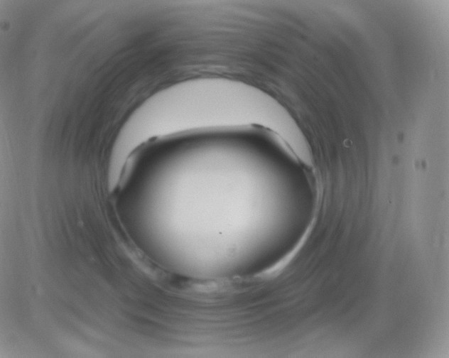 X0000083050190200702232005