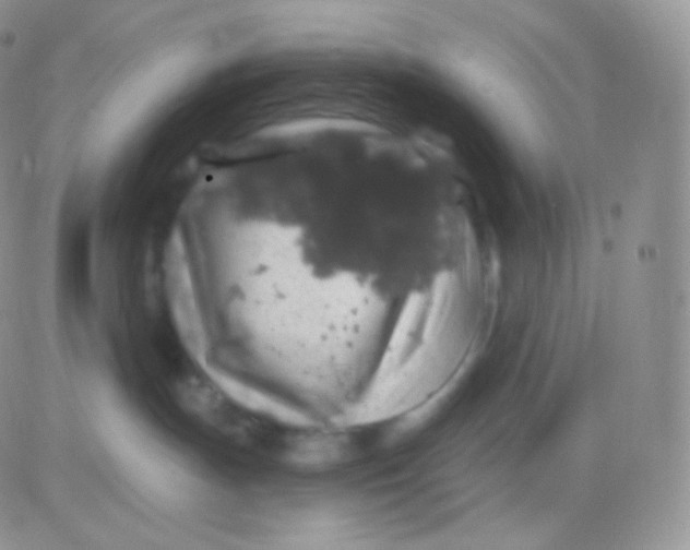 X0000083050191200702232005