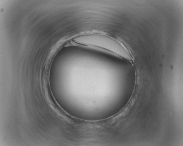 X0000083050193200702232004