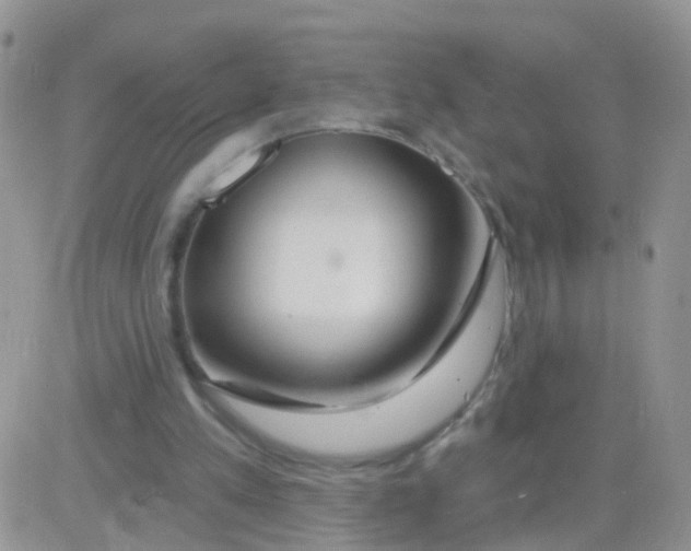 X0000083050197200702232004