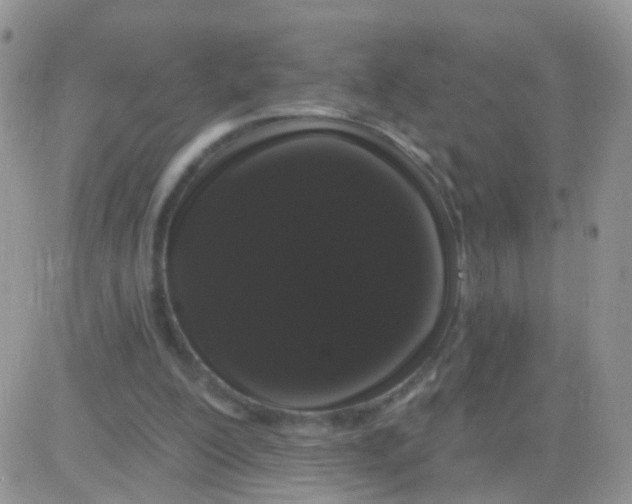 X0000083050200200702232004