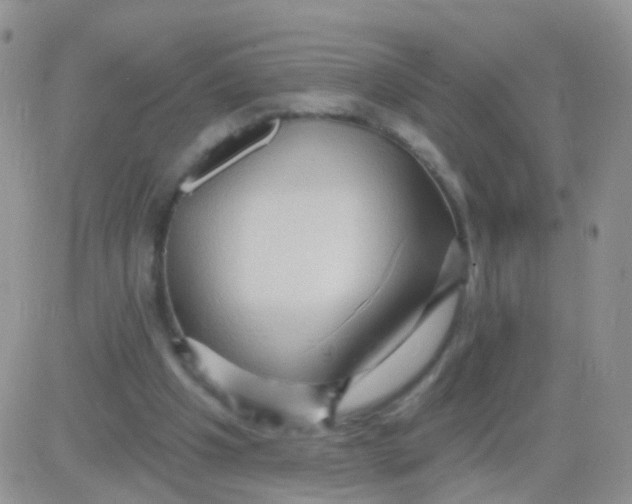 X0000083050201200702232004