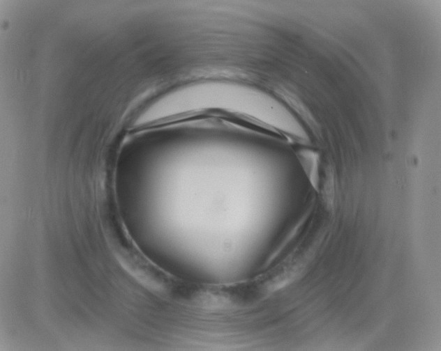 X0000083050207200702232004