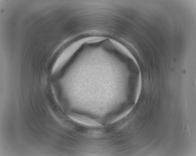 X0000083050208200702232004