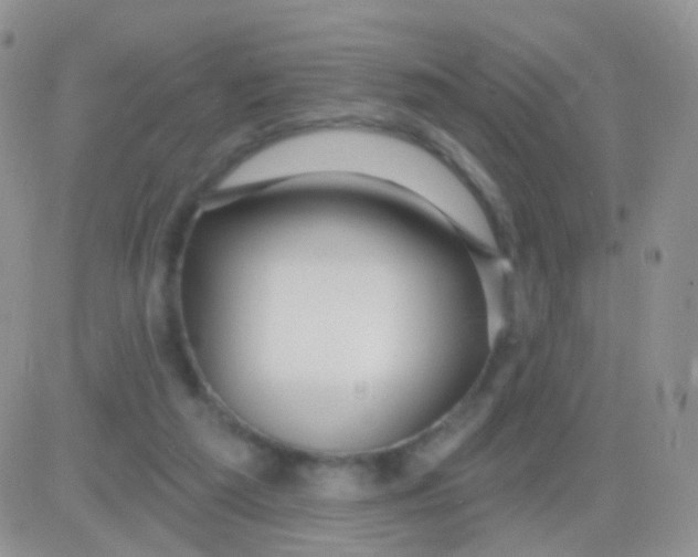 X0000083050209200702232004