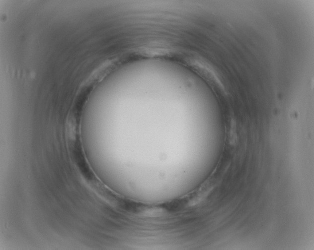 X0000083050210200702232004