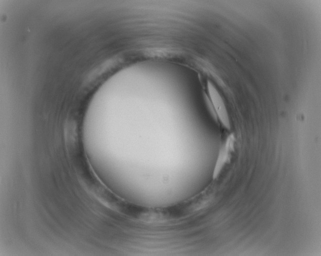 X0000083050211200702232004