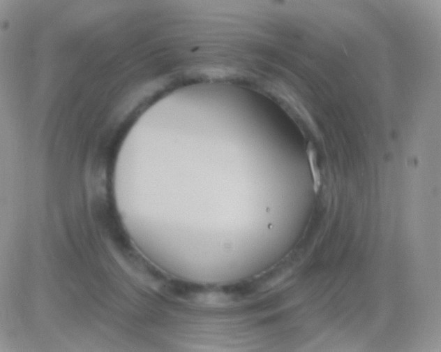 X0000083050212200702232004