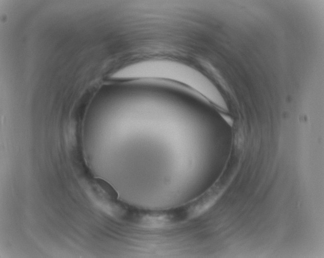 X0000083050213200702232004