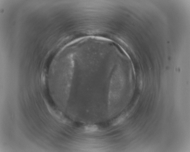 X0000083050214200702232004