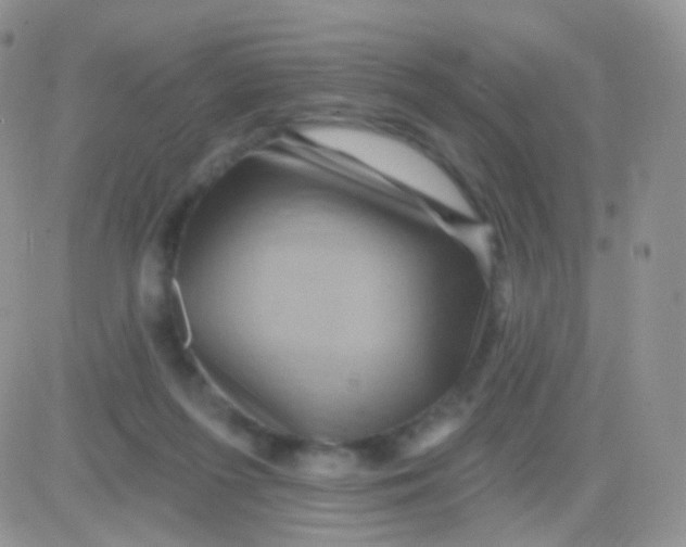 X0000083050215200702232004