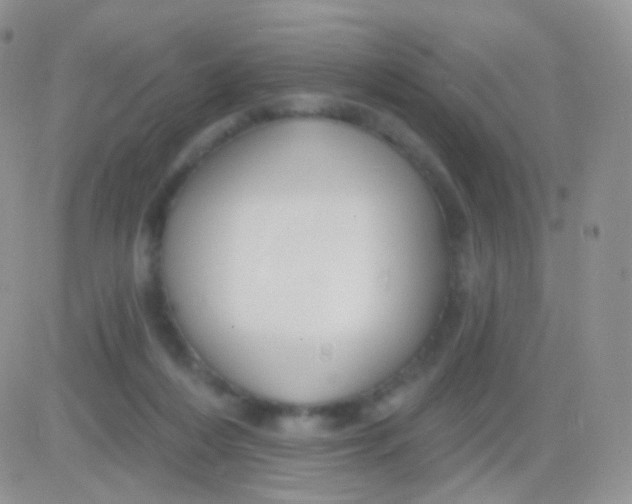 X0000083050216200702232004