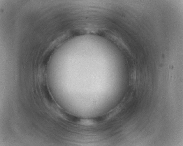 X0000083050218200702232004