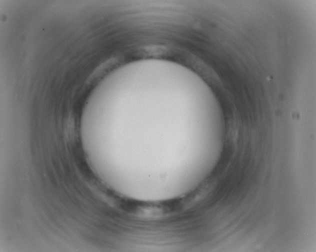 X0000083050220200702232004