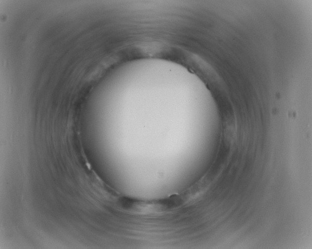 X0000083050221200702232004