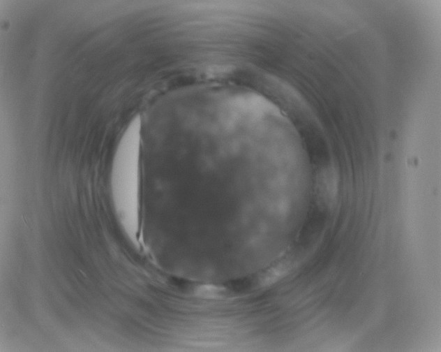 X0000083050222200702232004