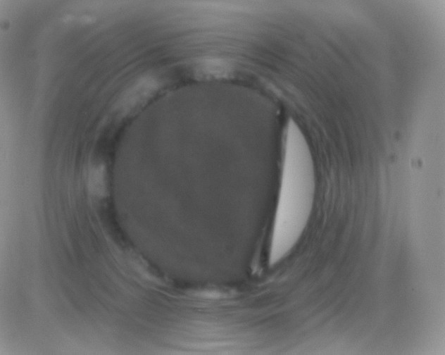 X0000083050224200702232004