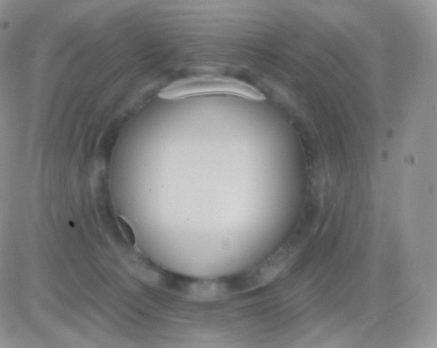 X0000083050225200702232004