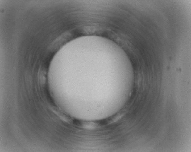 X0000083050226200702232004