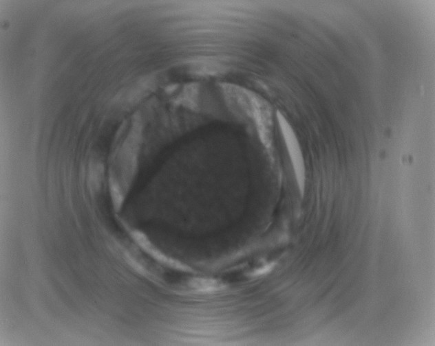 X0000083050227200702232004