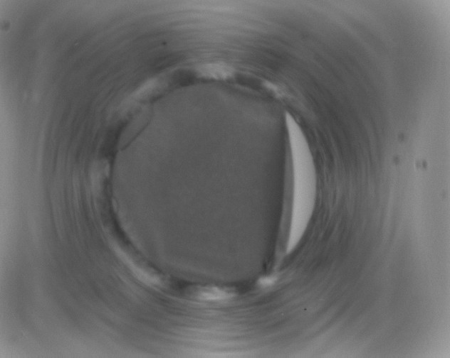 X0000083050229200702232004