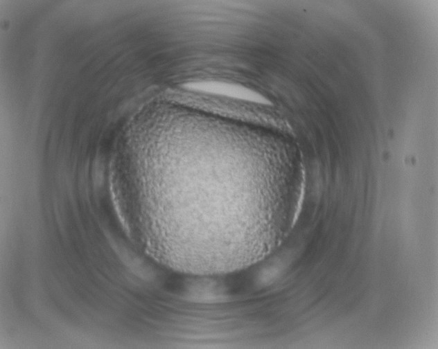 X0000083050230200702232004