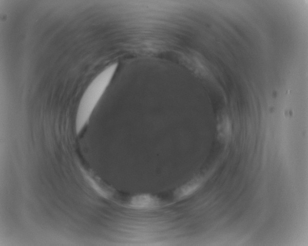 X0000083050231200702232004