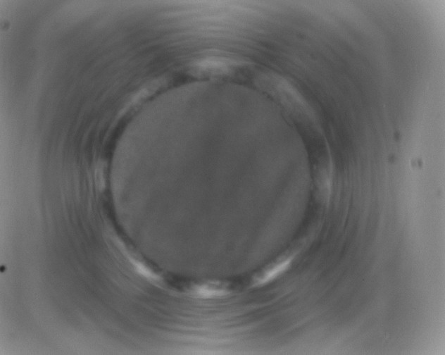 X0000083050232200702232004