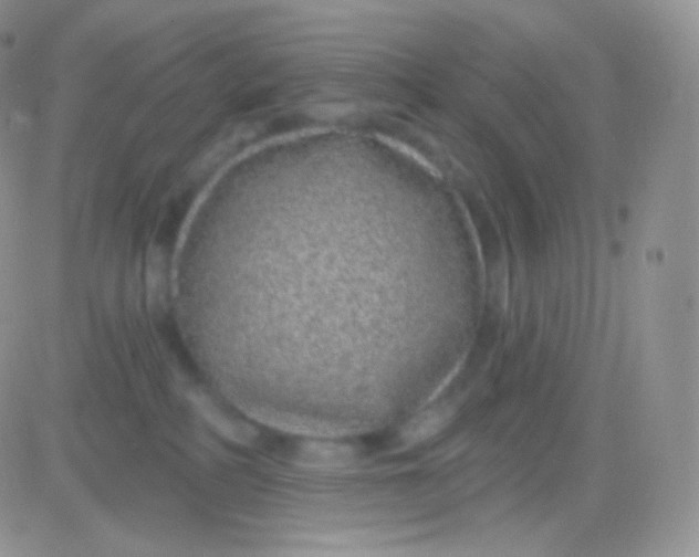 X0000083050234200702232004