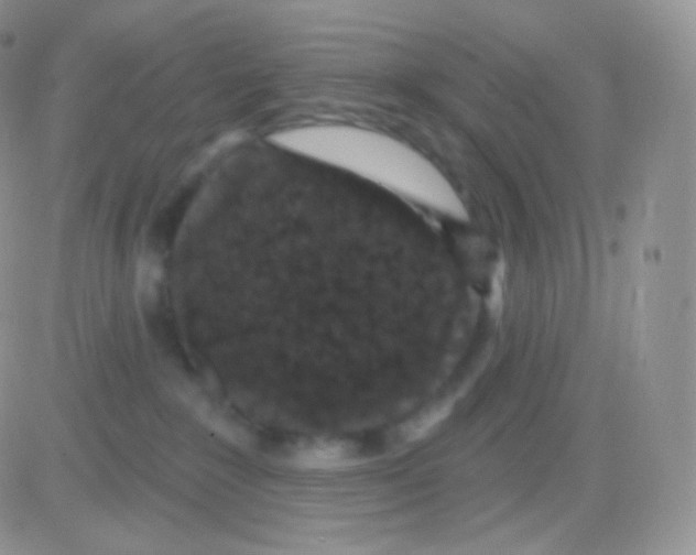 X0000083050235200702232003