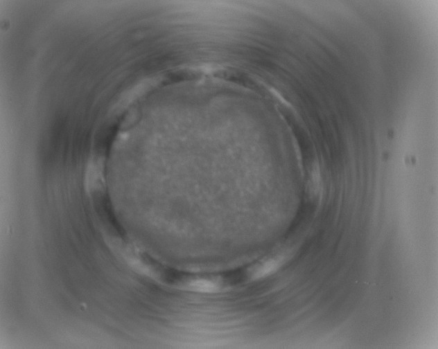 X0000083050236200702232003