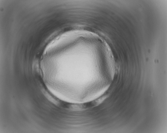 X0000083050238200702232003